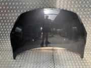 Motorhaube 7901L9 Peugeot 307 CC (3B) Cabrio 2.0 HDIF 16V (DW10BTED4(RHR))