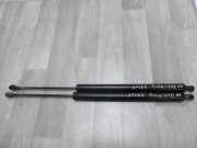 Gasdruckfeder Hinten 00008731R9 Citroën Berlingo
