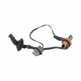 Kennzeichenbeleuchtung RECHTS Nissan Murano (Z50) SUV 3.5 V6 24V 4x4 (VQ35DE)