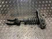 Federbein Rechts Vorne 7L6413032S Volkswagen Touareg (7LA/7L6) SUV 2.5 TDI R5 (BPE) BPE