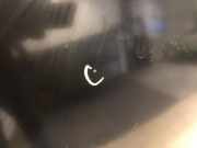 Motorhaube 41627162102 BMW 1 serie (E87/87N) Schrägheck 5-drs 120d 16V (N47-D20C)