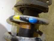 Federbein Links Vorne 93860764 Opel Vivaro