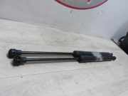 Gasdruckfeder Hinten 00008731V4 Citroën DS3 (SA) Schrägheck 1.6 e-HDi 16V 115 (DV6C(9HD))