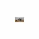 Lenksäule 5631026100 Hyundai Santa Fe I SUV 2.0 CRDi 16V 4x4 (D4EA) 2002