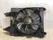 Kühlerlüfter 7701071863 Renault Scénic II (JM) Großraumlimousine 2.0 16V (F4R-771)