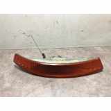 Blinkerglas Rechts VOOR 8200007030 Renault Trafic New (FL) Van 2.0 16V (F4R-720) 2006