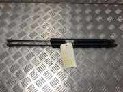 Gasdruckfeder Hinten 5G6827550G Volkswagen Golf VII (AUA) Schrägheck 1.4 TSI BlueMotion Technology 125 16V (CZCA) CZCA