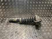 Stoßdämpfer Rechts Hinten 7L6513029N Volkswagen Touareg (7LA/7L6) SUV 2.5 TDI R5 (BPE) BPE