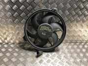 Kühlerlüfter Peugeot Expert (G9) Van 1.6 HDi 90 (DV6UTED4(9HU))