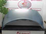 Motorhaube 651001097R Renault Grand Scénic II (JM) Großraumlimousine 1.9 dCi 130 (F9Q-804)