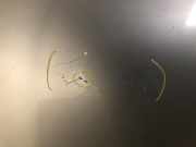 Motorhaube C2Y55231XA Mazda 5 (CR19) Großraumlimousine 2.0 CiDT 16V High Power (RF7J)