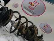 Federbein Links Vorne Fiat Panda (169) Schrägheck 1.2, Classic (169.A.4000)