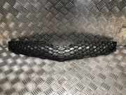 Grill Toyota Yaris II (P9) Schr?gheck 1.4 D-4D (1NDTV)