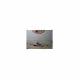 Lenkgetriebe Servolenkung 1623287280 Peugeot 1007 (KM) Schrägheck 3-drs 1.6 GTI,Gentry 16V (TU5JP4(NFU)) 2009