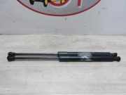 Gasdruckfeder Hinten 00008731V4 Citroën DS3 (SA) Schrägheck 1.6 e-HDi 16V 115 (DV6C(9HD))