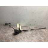 Antenne 00006561JS Citroën C3 (SC) Schrägheck 1.4 (TU3JP(KFT)) 2011