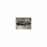 Federbein Links Vorne 1S0413031B Skoda Citigo Schrägheck 1.0 12V (CHYA) 2016