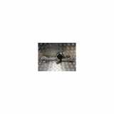 Fensterheber Elektr. Links Vorne 8200733829 Dacia Duster (HS) SUV 1.5 dCi 4x4 (K9K-898) 2011