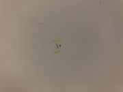 Motorhaube 9839337980 Citroën Berlingo Van 1.9 Di (DW8B(WJY))