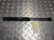 Gasdruckfeder Hinten 1684312 Ford Focus 2 Schr?gheck 2.5 20V ST (HYDA)