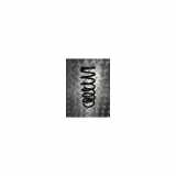 Schraubenfeder Hinten 4131181A40 Suzuki Jimny Hardtop Geländewagen 1.5 DDiS 4x4 (K9K-266) 2009