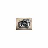 Kennzeichenbeleuchtung LINKS Dacia Sandero III Schrägheck 1.0 TCe 100 12V ECO-G (H4D-480) 2021