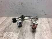 Kennzeichenbeleuchtung RECHTS Hyundai Getz Schrägheck 1.5 CRDi 16V (D4FAL)