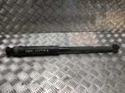 Stoßdämpfer Rechts Hinten 562109129R Renault Captur II (RJB) SUV 1.3 Mild Hybrid 140, TCe 140 16V (H5H-490(H5H-E4))