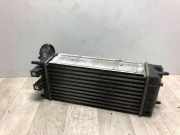 Ladeluftkühler 0384N9 Peugeot 3008 I (0U/HU) Großraumlimousine 1.6 HDiF 16V (DV6C(9HR))