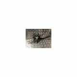 Kupplungspedal 1477752 Ford C-Max (DM2) Großraumlimousine 1.8 TDCi 16V (KKDB) 2007