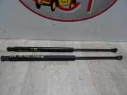 Gasdruckfeder Hinten 51785412 Fiat 500 (312) Schrägheck 1.2 69 (169.A.4000)