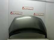 Motorhaube 651000267R Renault Espace (JK) Großraumlimousine 1.9 dCi Expression (F9Q-820)