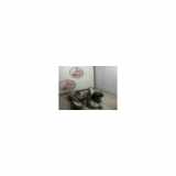 Sicherheitsgurt Links Hinten 1J5857805CHCQ Volkswagen Bora (1J2) Limousine 1.6 (APF) 1999 APF