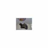 Achsschenkel Rechts Vorne 31201286 Volvo S60 II (FS) Limousine 2.4 D5 20V AWD (D5244T10) 2012