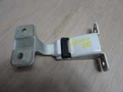 Türscharnier ACHTERDEUR RECHTS Renault Kangoo Express (FW) Van 1.5 dCi 85 (K9K-802)