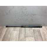 Gasdruckfeder Links Hinten 8717026011 Hyundai Santa Fe I SUV 2.0 CRDi 16V 4x2 (D4EA) 2005