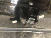 Tür Links Hinten 6301131104 SsangYong Actyon SUV 2.0 Xdi 4WD 16V (OM664.951)