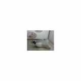 Scheibenwaschbehälter 46525311 Fiat Punto II (188) Schrägheck 1.4 16V (Euro 5) 2001