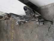 Unterrahme Vorne 9808011780 Peugeot 208 I (CA/CC/CK/CL) Schr?gheck 1.5 BlueHDi 100 (DV5RD(YHY))