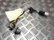 Kennzeichenbeleuchtung LINKS Kia Rio III (UB) Schrägheck 1.2 CVVT 16V (G4LA)