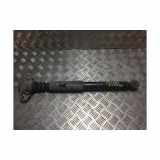 Stoßdämpfer Links Hinten 1Q0513029A Volkswagen Eos (1F7/F8) Cabrio 2.0 TDI DPF (BMM) 2007 BMM