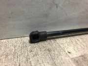 Gasdruckfeder Hinten 51778432 Fiat Punto Evo (199) Schrägheck 1.3 JTD Multijet Start&Stop 16V (199.A.2000)