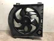 Kühlerlüfter 7701068310 Renault Twingo II (CN) Schrägheck 3-drs 1.6 16V RS (K4M-854(Euro 4)
