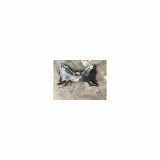 Unterrahme Vorne 9833289680 Citroën C4 Berline (LC) Schrägheck 5-drs 1.6 HDi 16V (DV6ATED4(9HX)) 2006