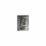 Schraubenfeder Hinten 550205HA1B Renault Koleos I SUV 2.0 dCi 16V (M9R-862) 2014