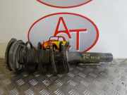 Federbein Links Vorne 5202LV Peugeot 206+ (2L/M) Schrägheck 1.1 XR,XS (TU1AE5)