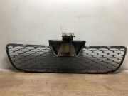 Grill 7804R4 Peugeot Boxer (U9) Van 2.2 HDi 100 Euro 4 (22DT(4HV))