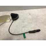 Antenne Fiat Bravo (198A) Schrägheck 1.6 JTD Multijet 105 (198.A.3000) 2009