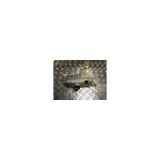 Ausgleichbehälter 1622715480 Peugeot Bipper Tepee (AJ) Großraumlimousine 1.3 HDI (FHZ) 2010
