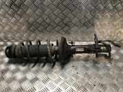 Federbein Links Vorne 8N0413031M Audi TT (8N3) Coupé 1.8 20V Turbo (AUQ)